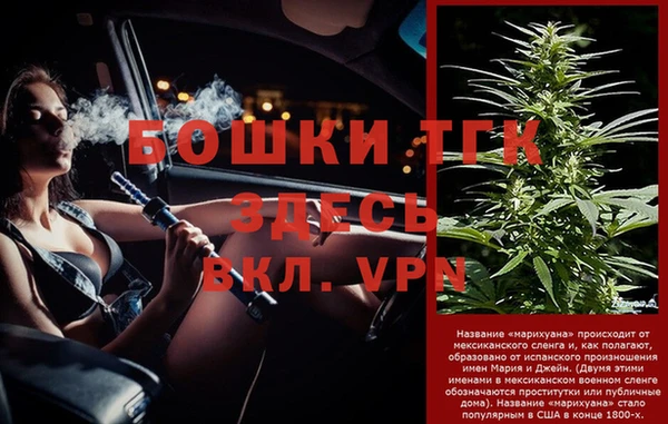 дживик Белокуриха