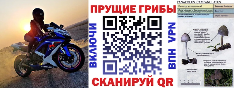 Псилоцибиновые грибы мухоморы  Купить закладки  Свободный 