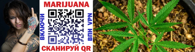 Купить где  Свободный  Канабис SATIVA & INDICA 
